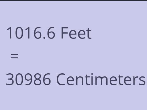 1016.6 FEET TO CM