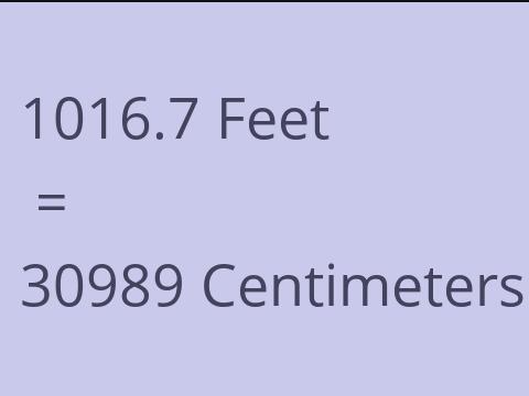 1016.7 FEET TO CM