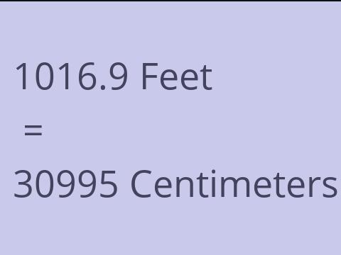 1016.9 FEET TO CM