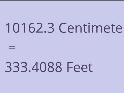 10162.3 CM TO FEET