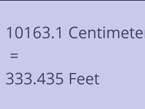 10163.1 CM TO FEET