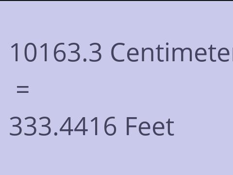 10163.3 CM TO FEET