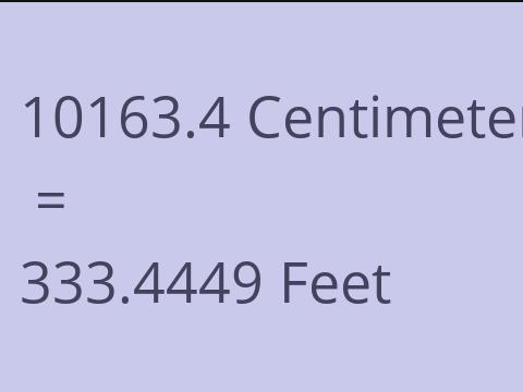 10163.4 CM TO FEET