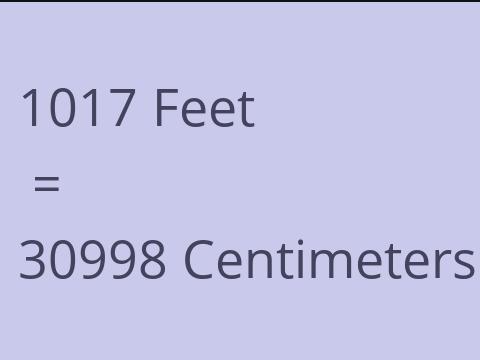 1017 FEET TO CM