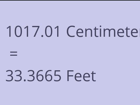 1017.01 CM TO FEET