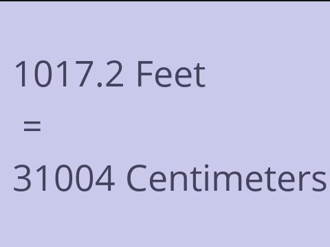 1017.2 FEET TO CM