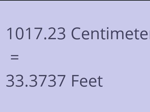 1017.23 CM TO FEET