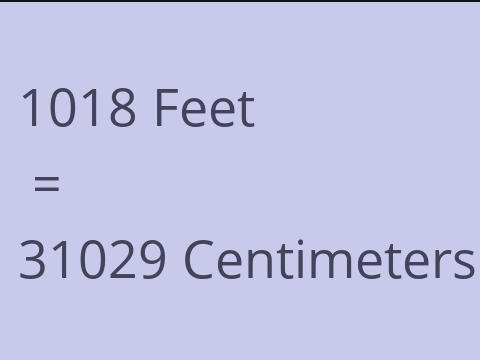 1018 FEET TO CM