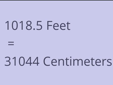 1018.5 FEET TO CM