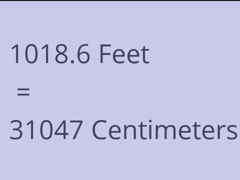 1018.6 FEET TO CM