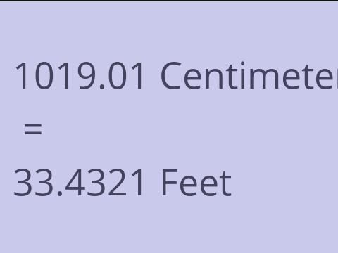 1019.01 CM TO FEET