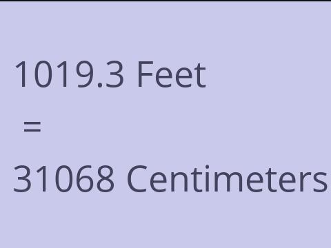 1019.3 FEET TO CM