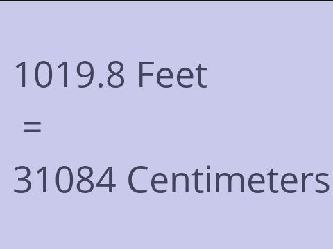 1019.8 FEET TO CM