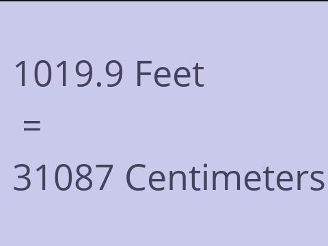 1019.9 FEET TO CM