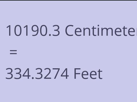 10190.3 CM TO FEET