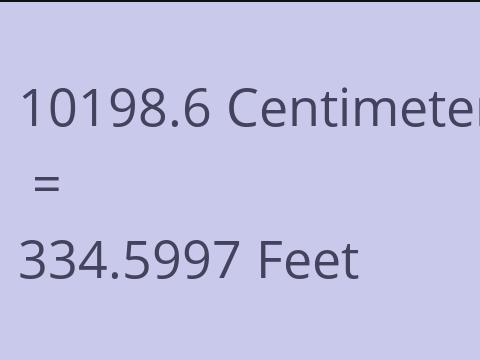 10198.6 CM TO FEET