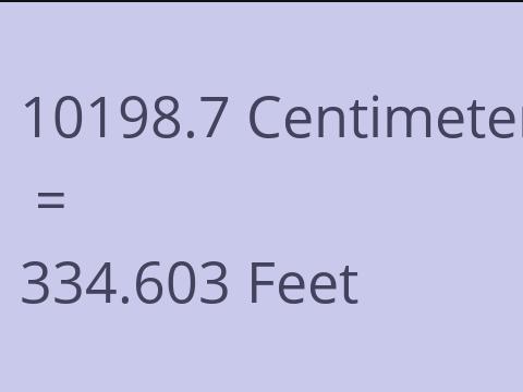 10198.7 CM TO FEET