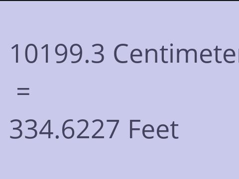 10199.3 CM TO FEET