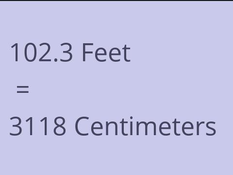 102.3 FEET TO CM