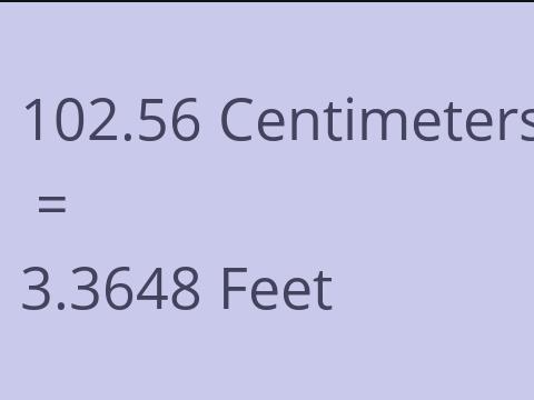 102.56 CM TO FEET