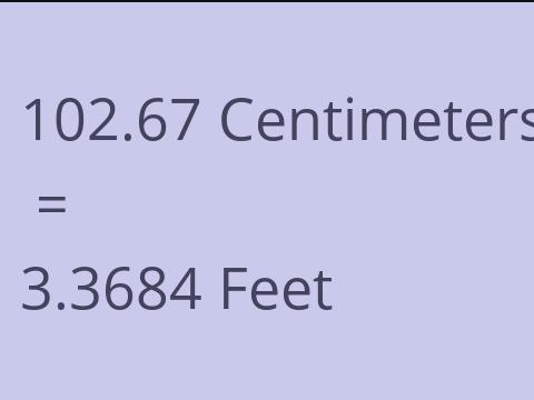 102.67 CM TO FEET