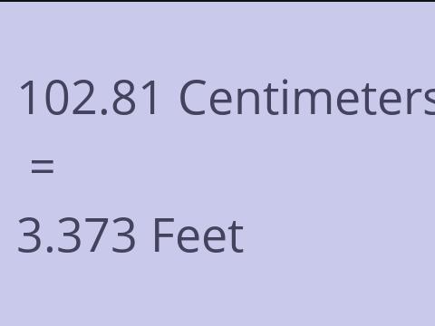 102.81 CM TO FEET