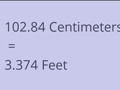 102.84 CM TO FEET