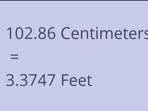 102.86 CM TO FEET