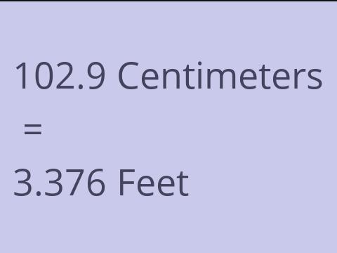 102.9 CM TO FEET