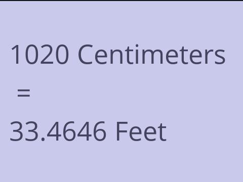 1020 CM TO FEET