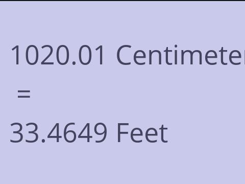 1020.01 CM TO FEET