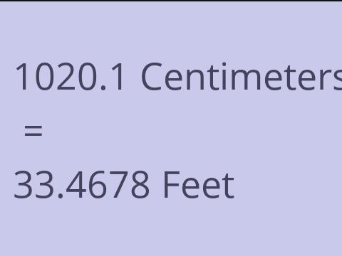 1020.1 CM TO FEET