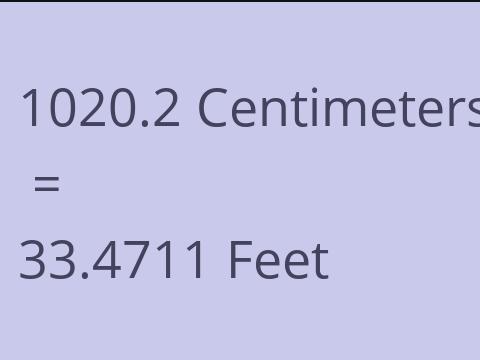 1020.2 CM TO FEET