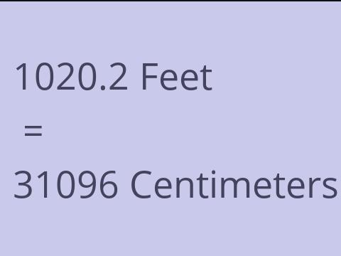 1020.2 FEET TO CM