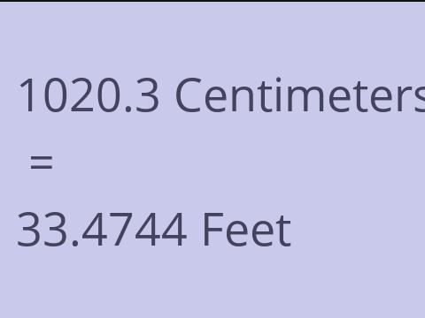 1020.3 CM TO FEET