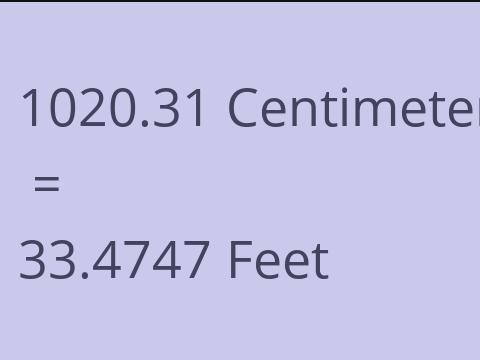 1020.31 CM TO FEET