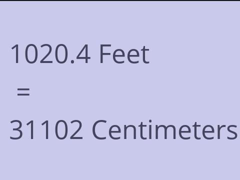 1020.4 FEET TO CM