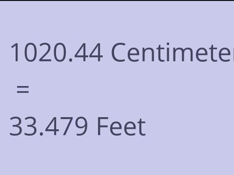 1020.44 CM TO FEET