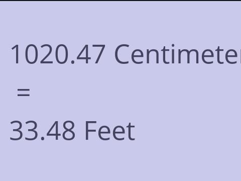 1020.47 CM TO FEET