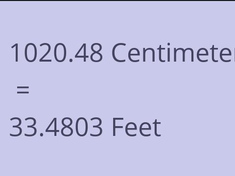 1020.48 CM TO FEET