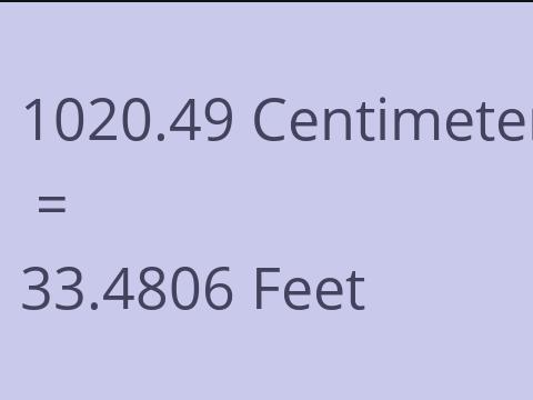 1020.49 CM TO FEET