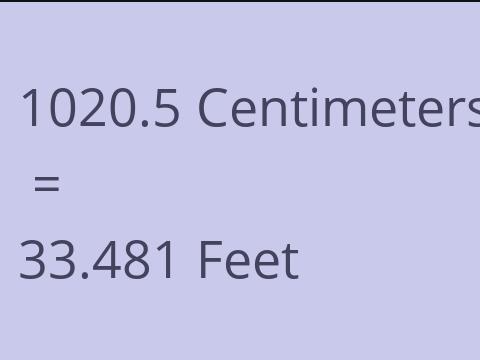 1020.5 CM TO FEET