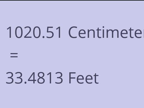 1020.51 CM TO FEET