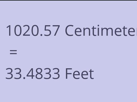 1020.57 CM TO FEET