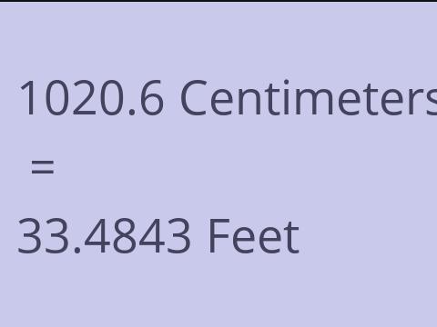 1020.6 CM TO FEET