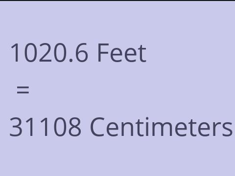 1020.6 FEET TO CM