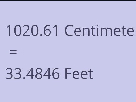 1020.61 CM TO FEET