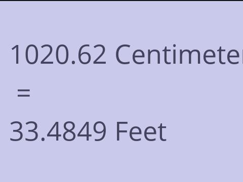 1020.62 CM TO FEET