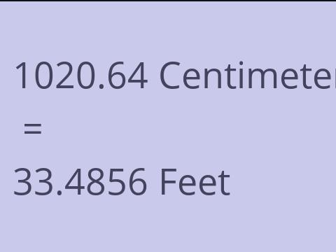 1020.64 CM TO FEET