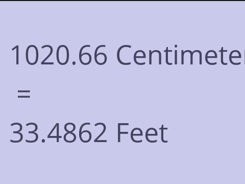 1020.66 CM TO FEET